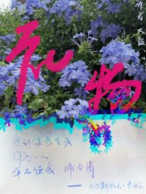 礼物一停感情归零后面一句